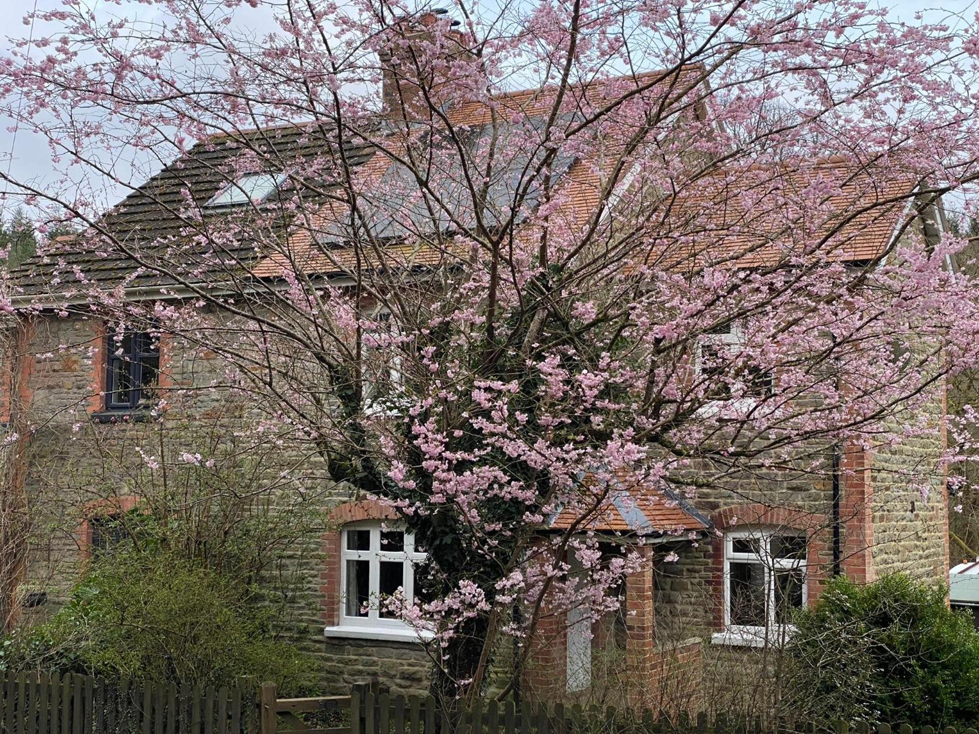Willow Cottage Longney Exteriör bild